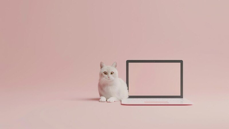 laptop:w83mh1yf1ra= cute wallpapers